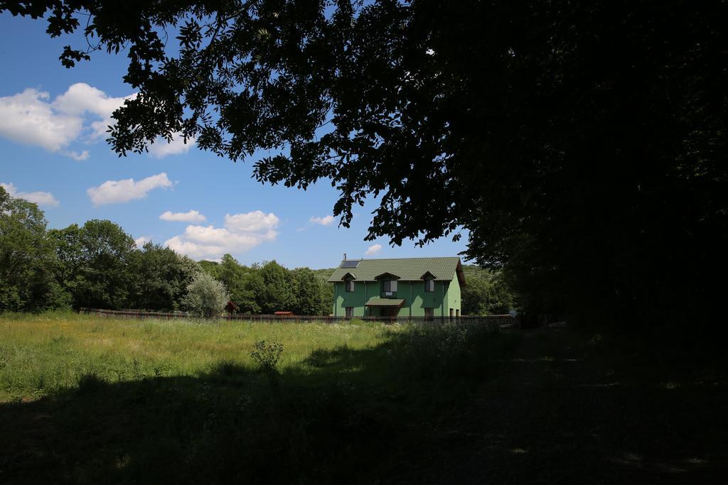Agropensiunea Cetatuia Luncavita Εξωτερικό φωτογραφία
